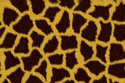 skin Abstract texture HD Desktop Wallpaper | Background Image