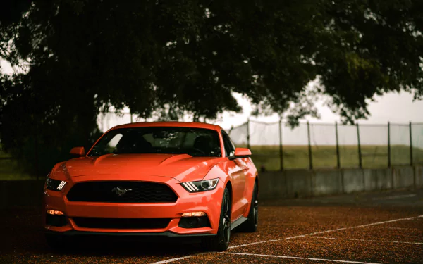 muscle car car Ford vehicle Ford Mustang HD Desktop Wallpaper | Background Image