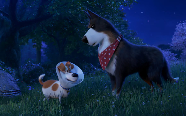 movie The Secret Life of Pets 2 HD Desktop Wallpaper | Background Image