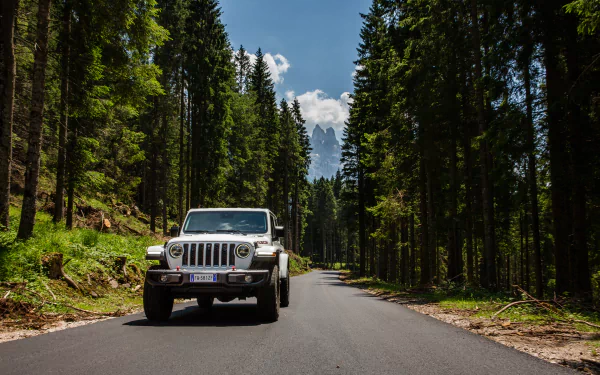 white car car Jeep vehicle Jeep Gladiator HD Desktop Wallpaper | Background Image