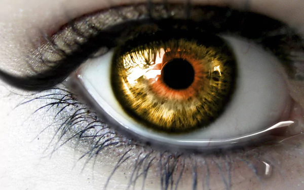  Tear falling from Hazel Eye