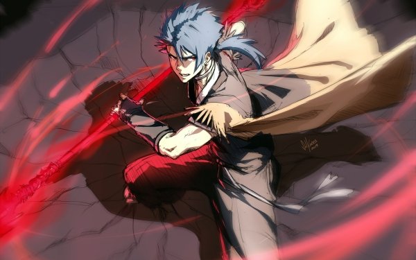 Anime Fate/Grand Order Fate Series Cu Chulainn HD Wallpaper | Background Image