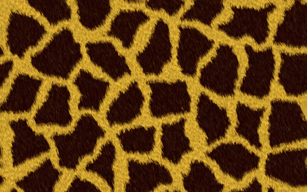 skin Abstract texture HD Desktop Wallpaper | Background Image