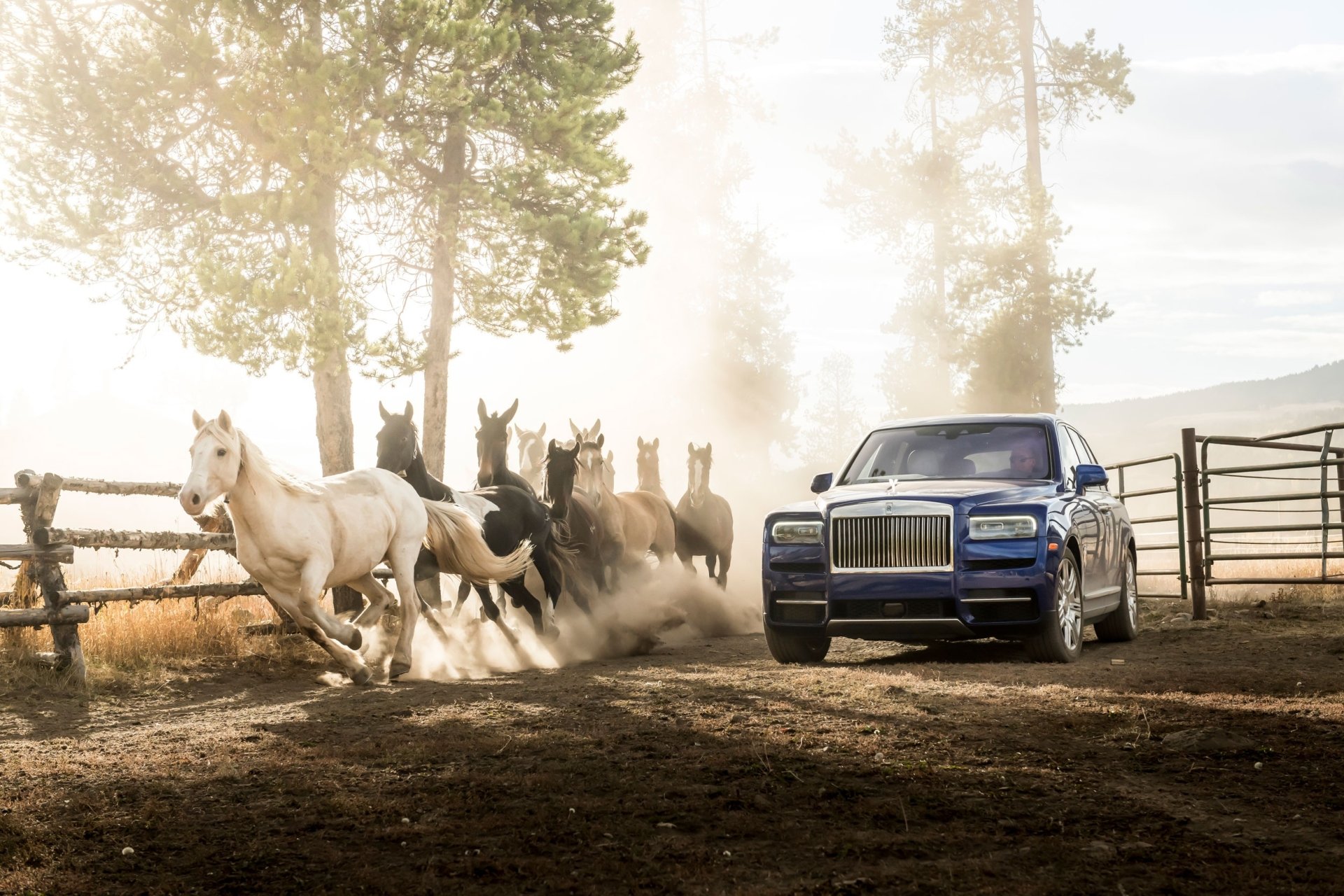 Download Car Horse Rolls-Royce Vehicle Rolls-Royce Cullinan HD Wallpaper