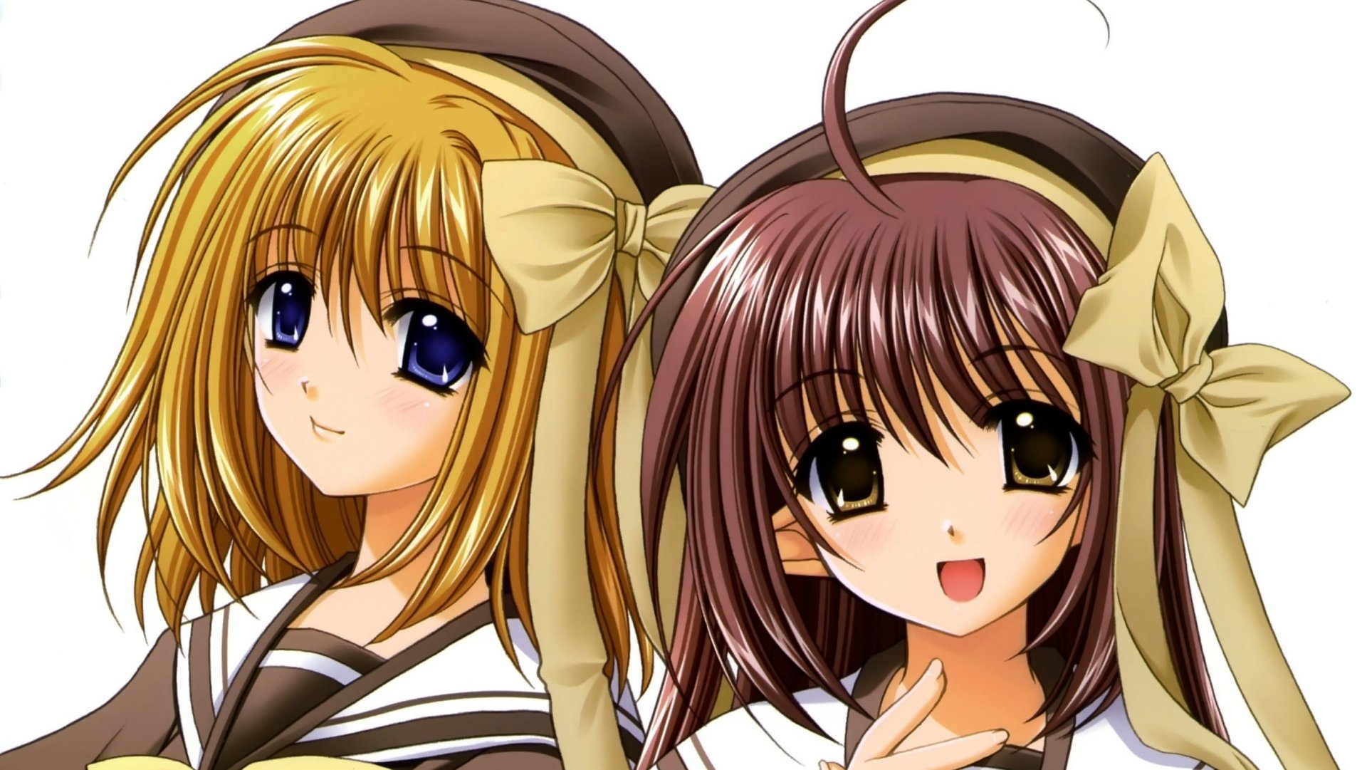 Download Lisianthus (Shuffle!) Kaede Fuyou Anime Shuffle! HD Wallpaper