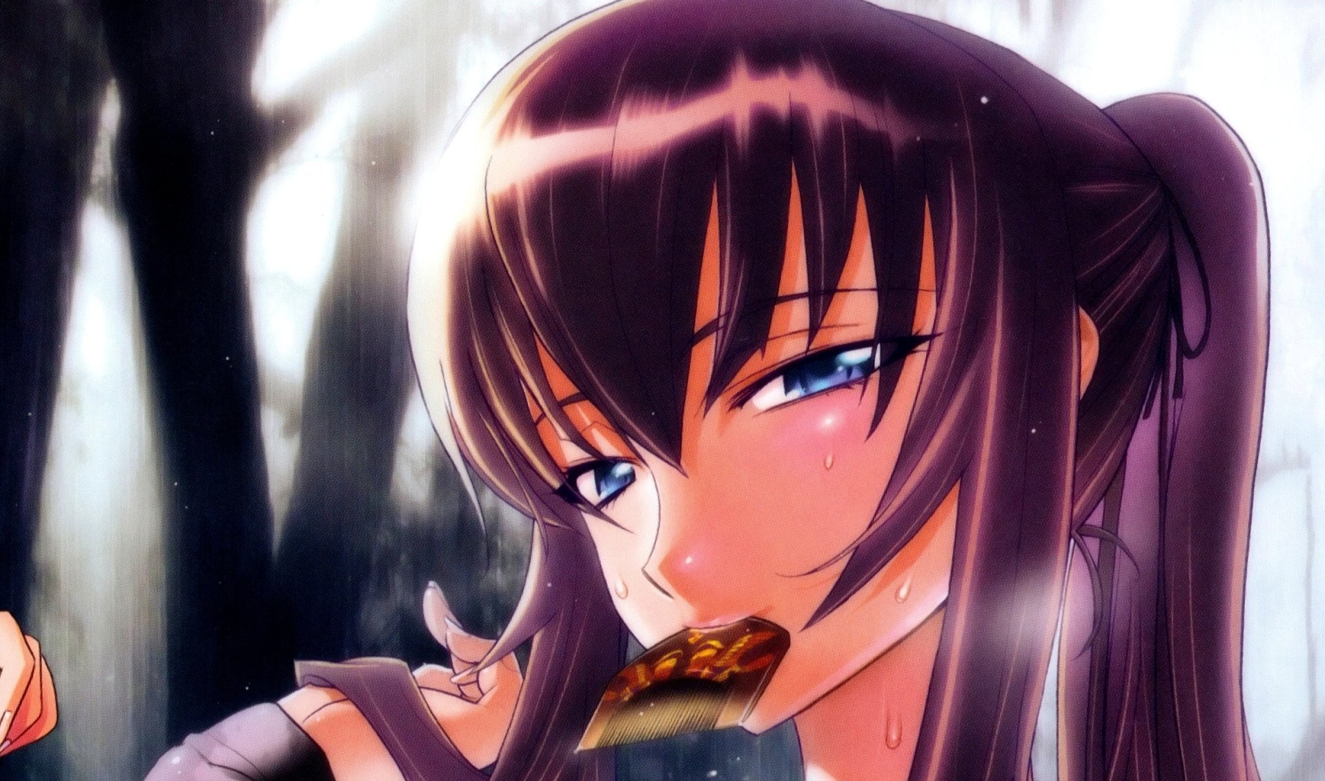 Download Saeko Busujima Anime Highschool Of The Dead HD Wallpaper