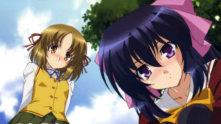 Rinko Kuzaki Himari Noihara Anime Omamori Himari HD Desktop Wallpaper | Background Image