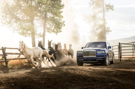 car horse Rolls-Royce vehicle Rolls-Royce Cullinan HD Desktop Wallpaper | Background Image
