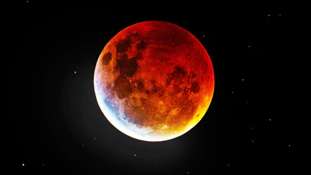 space blood moon nature moon HD Desktop Wallpaper | Background Image