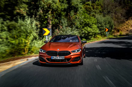 orange car car BMW vehicle BMW M850i HD Desktop Wallpaper | Background Image