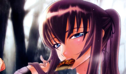 Saeko Busujima Anime Highschool Of The Dead HD Desktop Wallpaper | Background Image