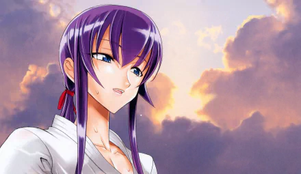 Saeko Busujima Anime Highschool Of The Dead HD Desktop Wallpaper | Background Image