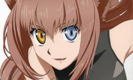 heterochromia Ai (Dragon Crisis!) Anime Dragon Crisis! HD Desktop Wallpaper | Background Image