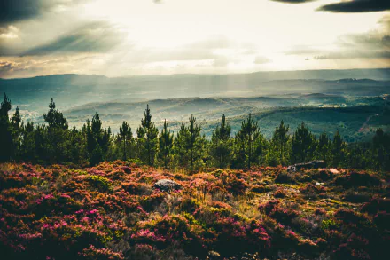 landscape nature sunbeam HD Desktop Wallpaper | Background Image