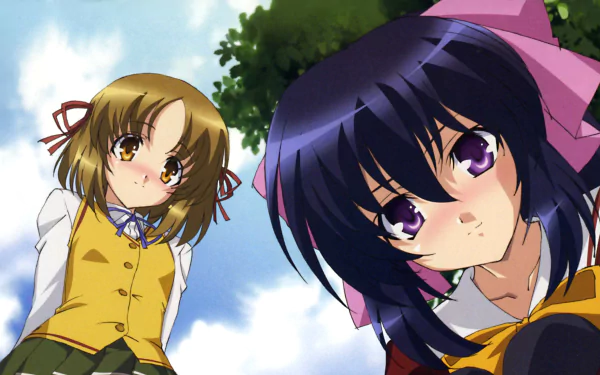 Rinko Kuzaki Himari Noihara Anime Omamori Himari HD Desktop Wallpaper | Background Image