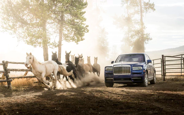 car horse Rolls-Royce vehicle Rolls-Royce Cullinan HD Desktop Wallpaper | Background Image