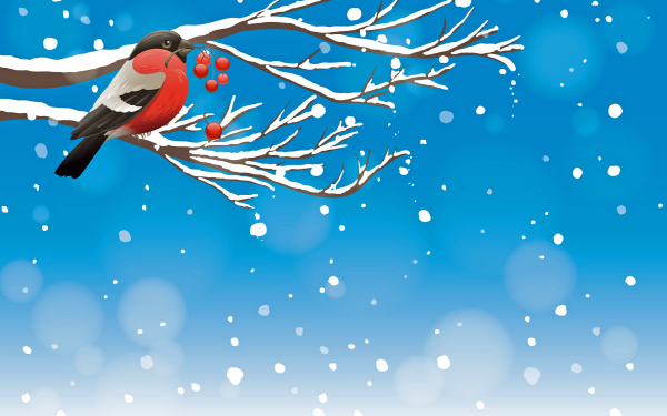 Animal Bird Birds Winter Snow HD Wallpaper | Background Image