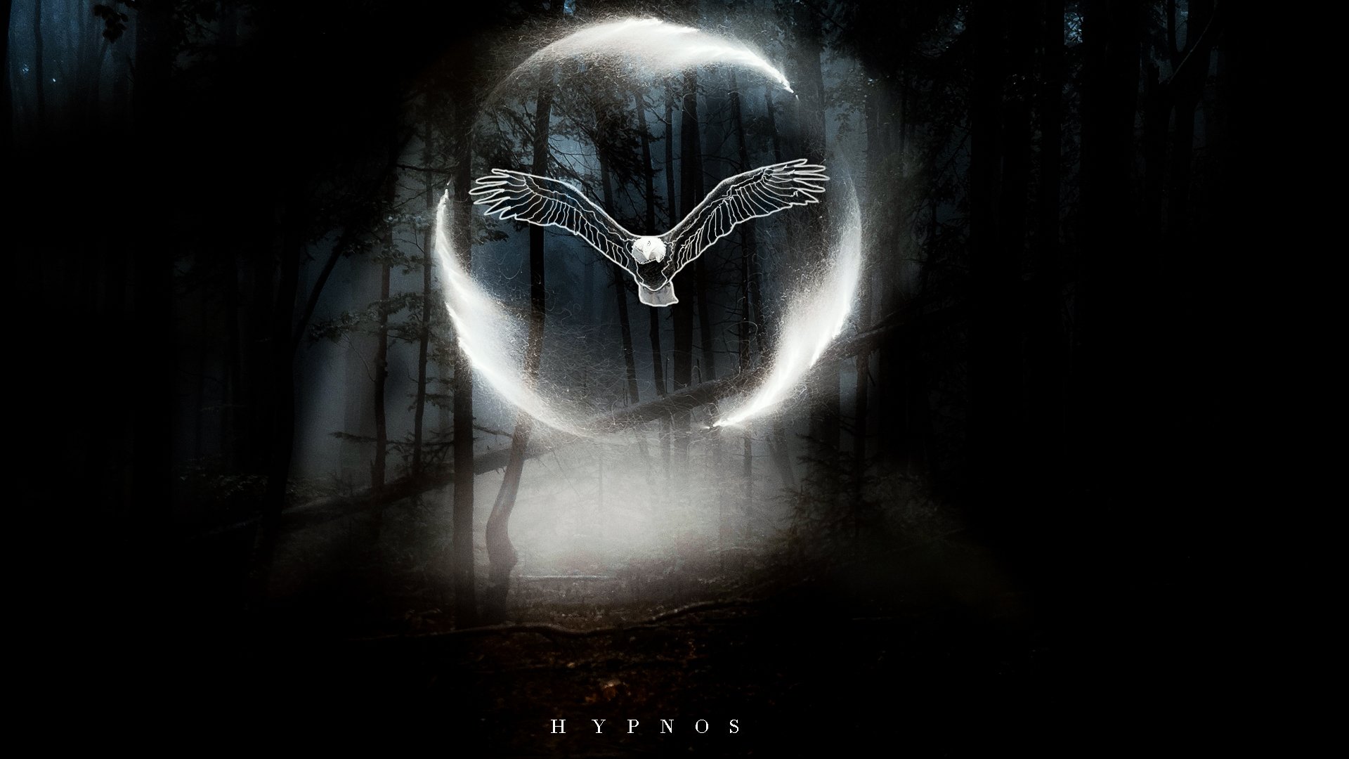 Download Forest Bird Animal Eagle HD Wallpaper by Furkanklcky52