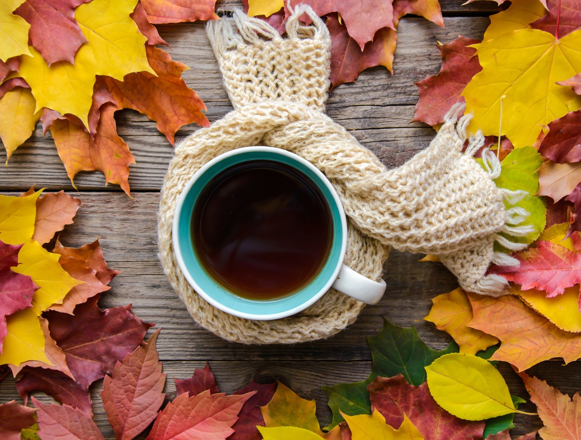 Download Still Life Drink Cup Leaf Fall Food Coffee Fall Coffee 4k Ultra HD Wallpaper