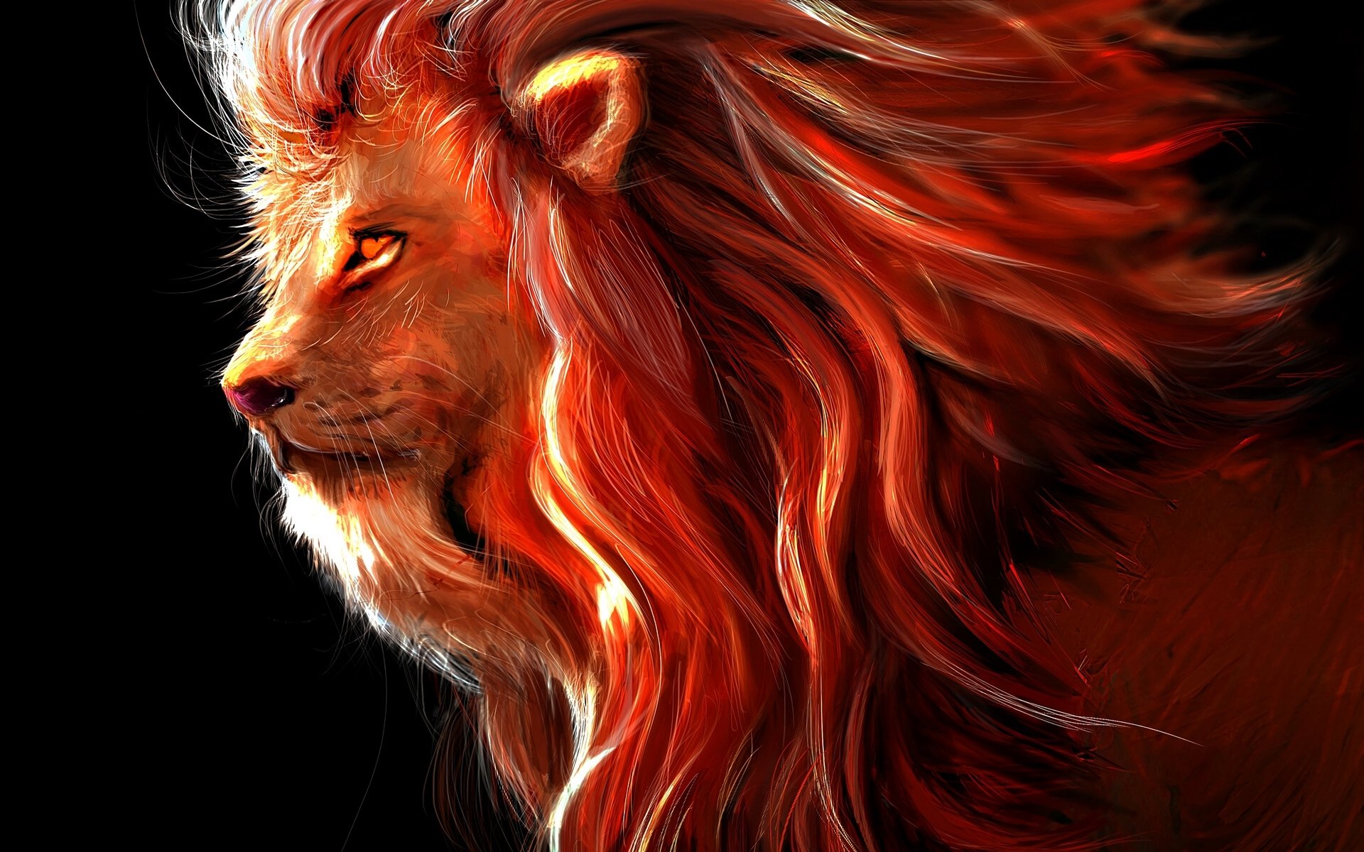 Lion HD Wallpaper Background Image 1920x1200