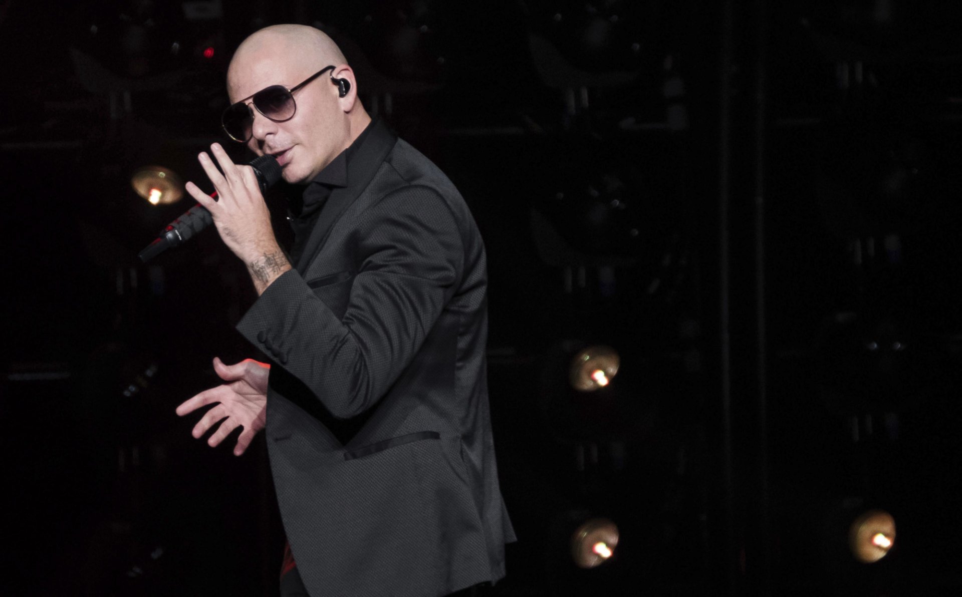 Pitbull HD Wallpaper