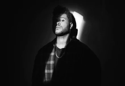 music The Weeknd HD Desktop Wallpaper | Background Image