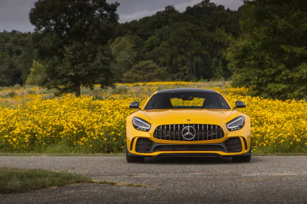 vehicle Mercedes-AMG GT R HD Desktop Wallpaper | Background Image