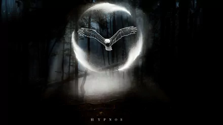 forest bird Animal eagle HD Desktop Wallpaper | Background Image