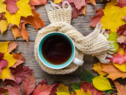 still life drink cup leaf fall food coffee fall coffee HD Desktop Wallpaper | Background Image