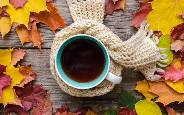 still life drink cup leaf fall food coffee fall coffee HD Desktop Wallpaper | Background Image