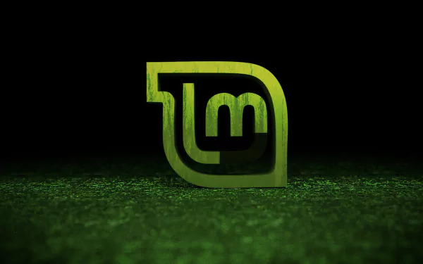 Green Linux Mint logo centered on a textured dark-green field, HD PC desktop wallpaper conveying technology and Linux branding.