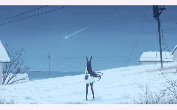 Anime Original Bunny Ears Snow Shooting Star Long Hair Black Hair HD Wallpaper | Background Image