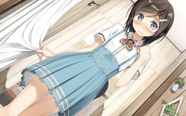 Chihiro Hashima Anime A Sister's All You Need HD Desktop Wallpaper | Background Image
