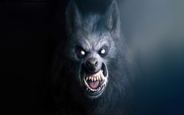 Dark Werewolf Face Scary Snarl HD Wallpaper | Background Image