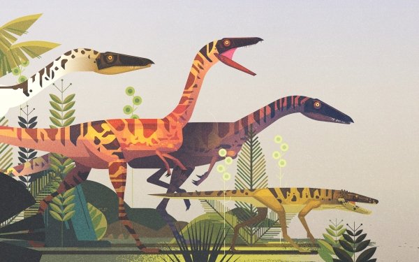 Animal Dinosaur Dinosaurs Minimalist HD Wallpaper | Background Image