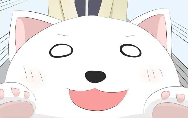 Dog (Aho Girl) Anime Aho girl HD Desktop Wallpaper | Background Image