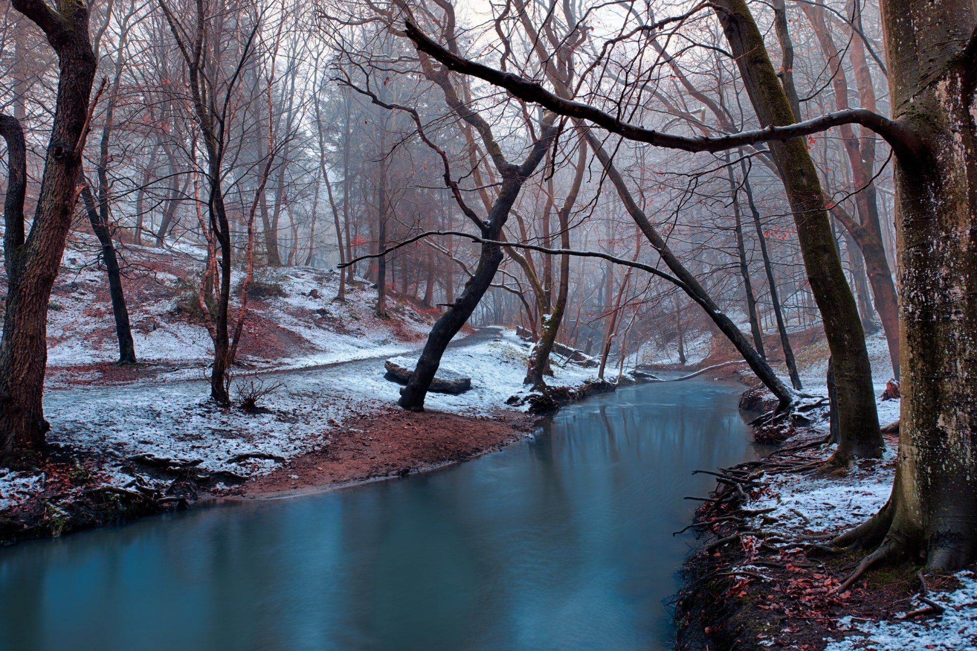 Download Forest Winter Nature River HD Wallpaper
