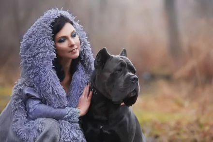 depth of field Cane Corso dog woman model HD Desktop Wallpaper | Background Image