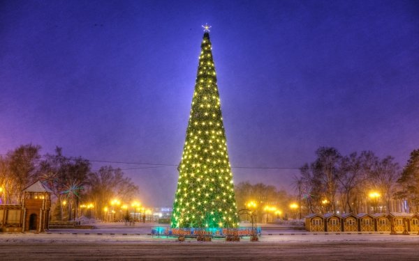 Holiday Christmas Christmas Tree Christmas Lights Russia HD Wallpaper | Background Image
