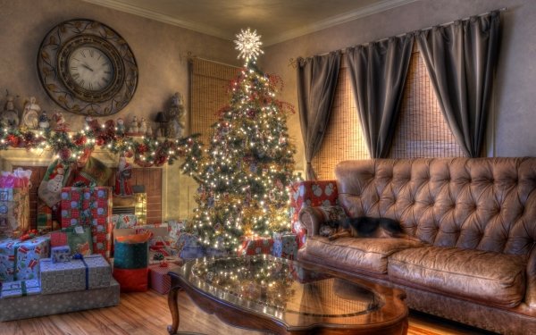 Holiday Christmas Christmas Lights Christmas Ornaments Christmas Tree Dog HDR HD Wallpaper | Background Image
