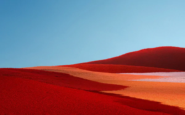  Microsoft Surface Stock Wallpaper