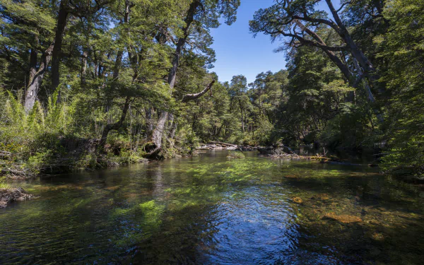  Lago Frey, Patagonia, Argentina by StarCitizen