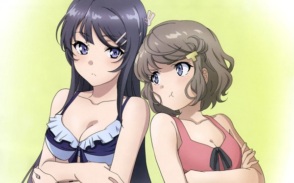 Anime Rascal Does Not Dream of Bunny Girl Senpai Mai Sakurajima Tomoe Koga Bikini HD Wallpaper | Background Image