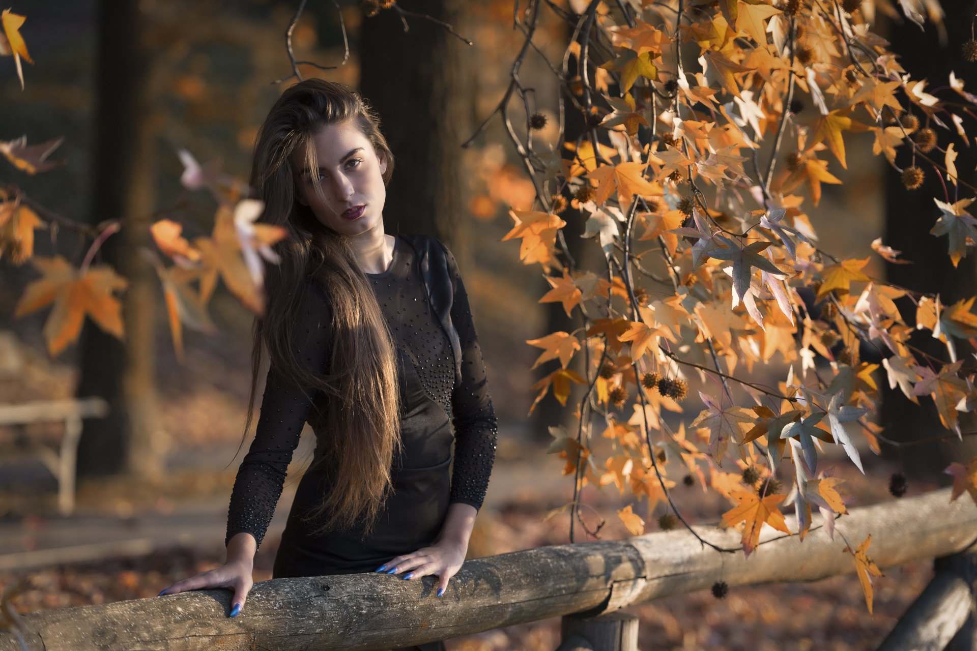 Download Fall Depth Of Field Brunette Long Hair Woman Model HD Wallpaper
