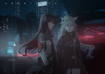 Night scene featuring Texas and Lappland from Arknights with long hair, set against a futuristic city backdrop in this HD PC desktop wallpaper.
