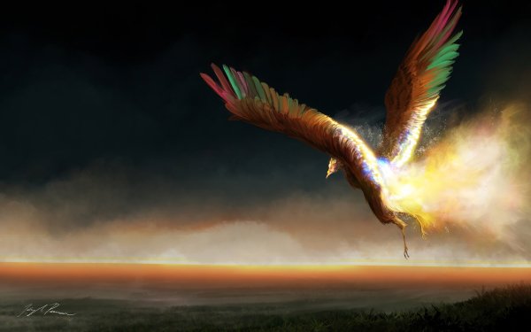 Fantasy Phoenix Fantasy Animals Bird HD Wallpaper | Background Image