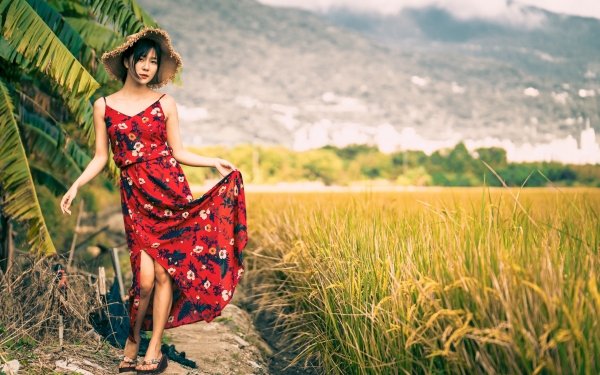 Women Asian Model Depth Of Field Dress Hat HD Wallpaper | Background Image