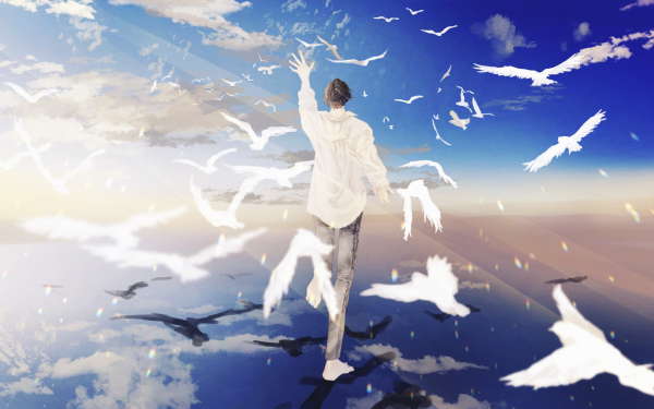 Anime Original Bird Sky Wallpaper