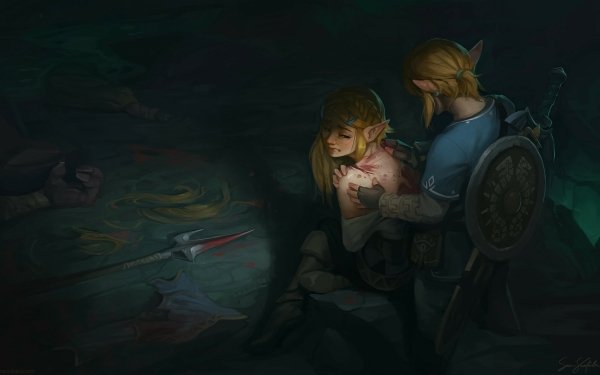 Video Game The Legend of Zelda: Breath of the Wild Zelda Link HD Wallpaper | Background Image