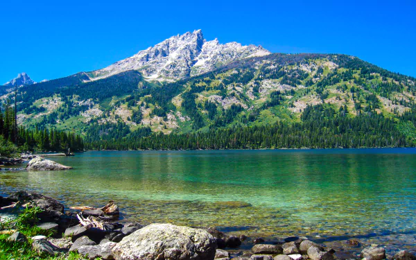 4K Ultra HD desktop wallpaper showcasing a clear lake with rocky shore, surrounded by lush forest and majestic snow-capped mountains under a bright blue sky.